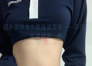 微密圈 – 相扑猫的兔女郎高清图集——不只是两个词的简单结合，哈